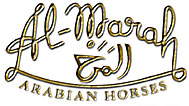 al-marah-logo